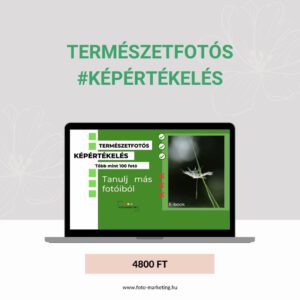 természetfotós ebook képértékelés