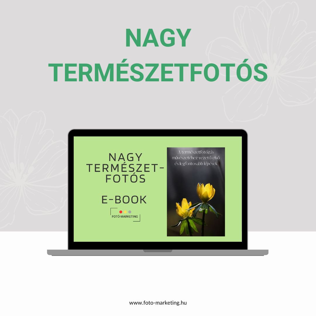 Nagy természetfotós ebook